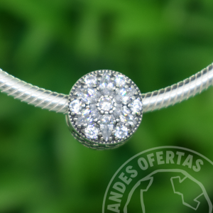Charm Destellos Florales Plata