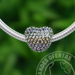 Clip Abre Mi Corazon Multicolor Plata