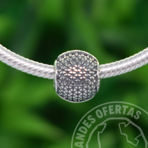 Charm Epcot Center Plata