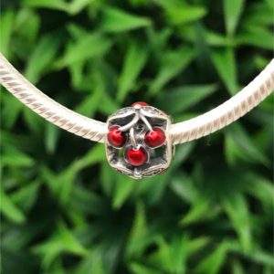 Charm Cerecitas Plata